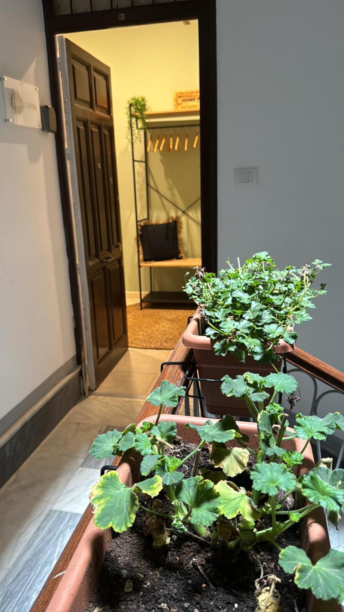 Domus Fysi Hotel Palermo Luaran gambar