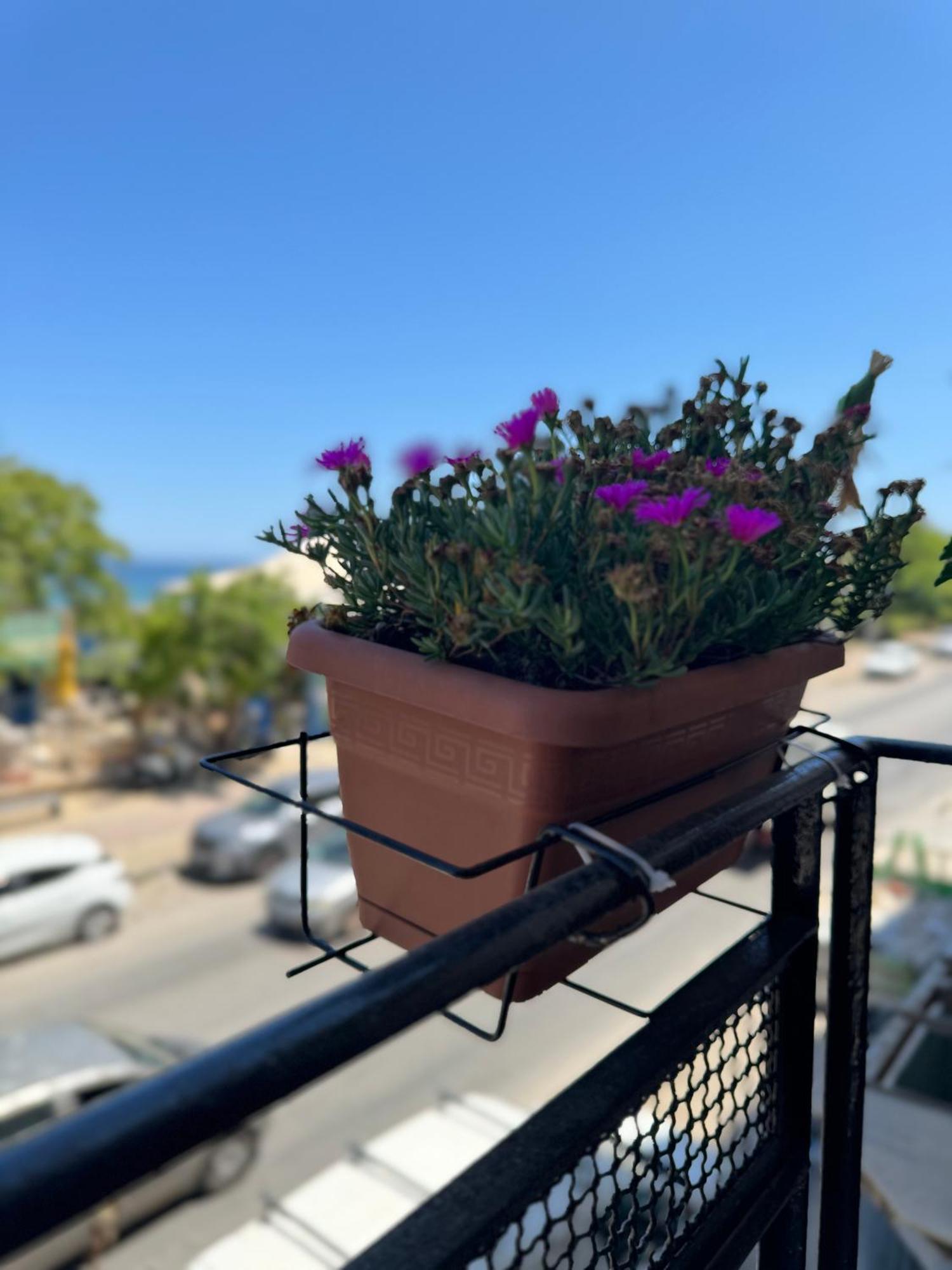 Domus Fysi Hotel Palermo Luaran gambar